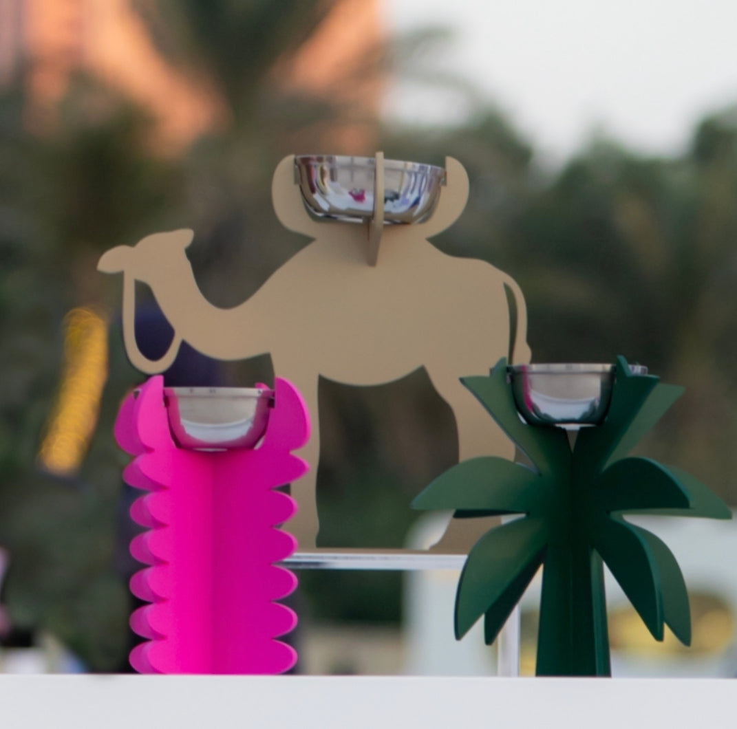 Camel Mudkhan
